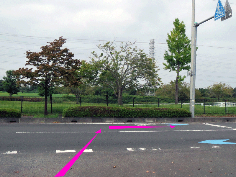 ハーフセンチュリー