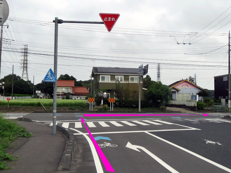 ハーフセンチュリー