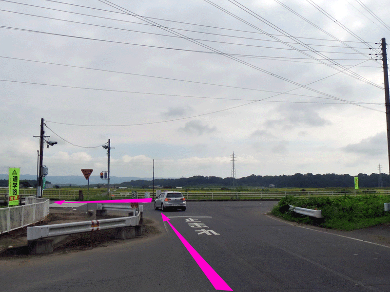 ハーフセンチュリー