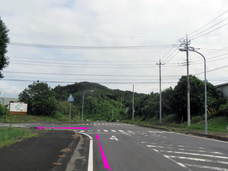 ハーフセンチュリー