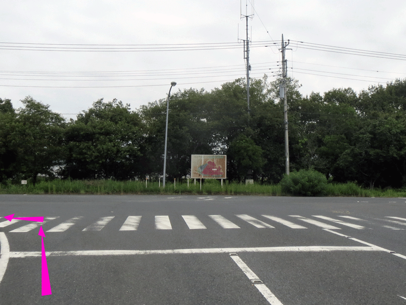 ハーフセンチュリー