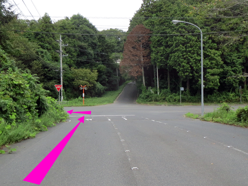 ハーフセンチュリー