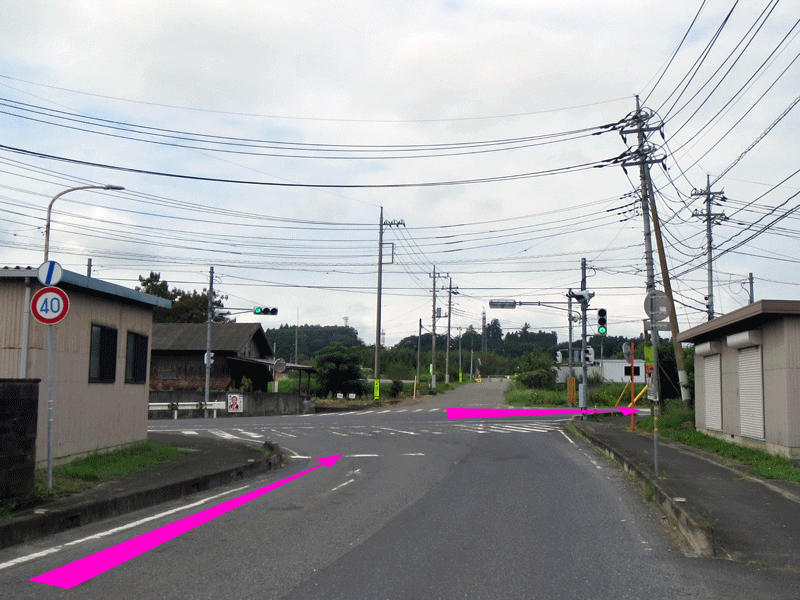 ハーフセンチュリー