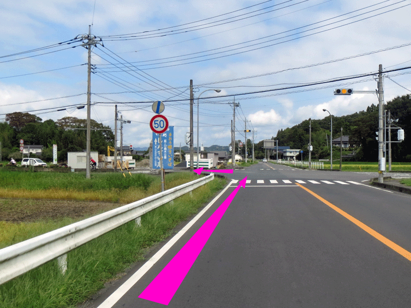 ハーフセンチュリー