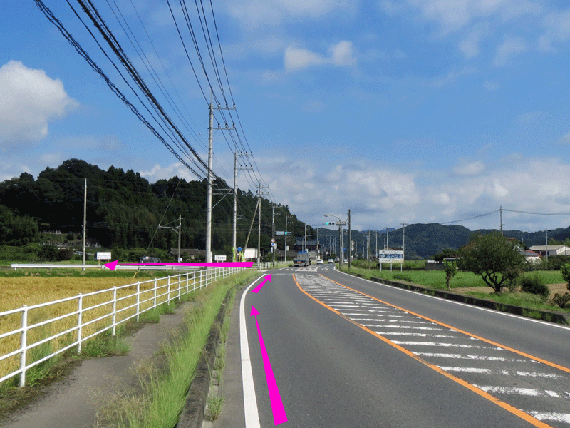 ハーフセンチュリー