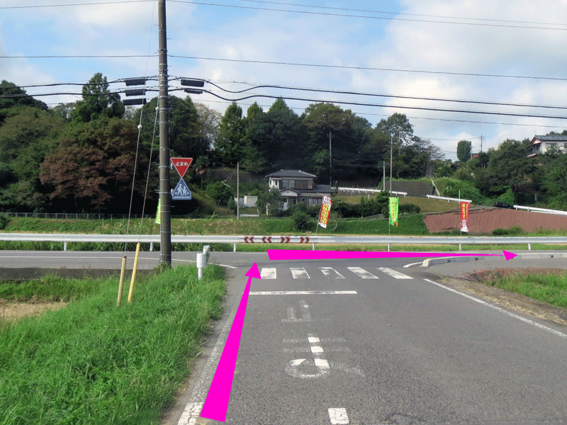 ハーフセンチュリー