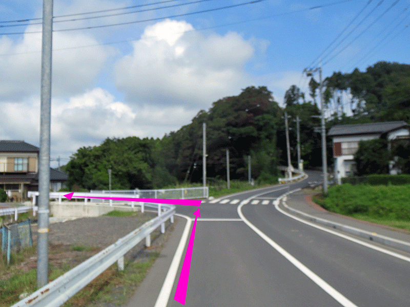 ハーフセンチュリー