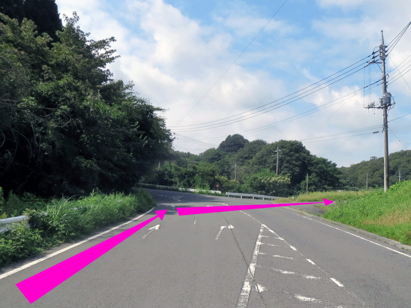 ハーフセンチュリー