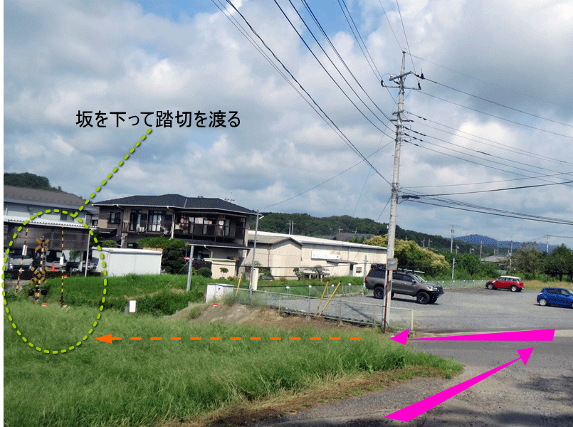 ハーフセンチュリー