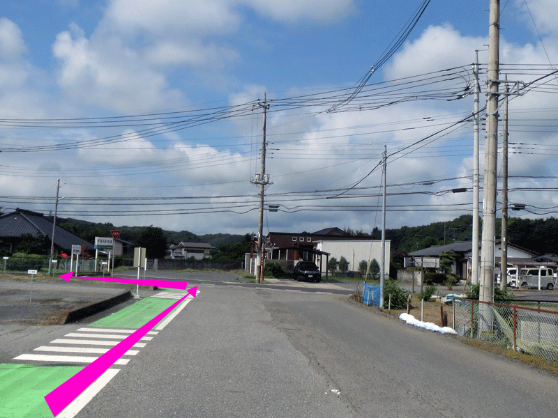 ハーフセンチュリー