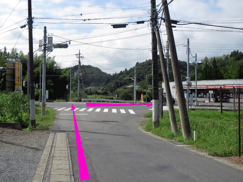 ハーフセンチュリー