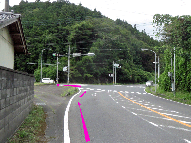 ハーフセンチュリー