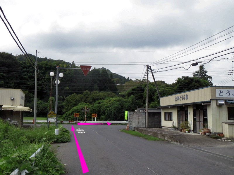 ハーフセンチュリー2023