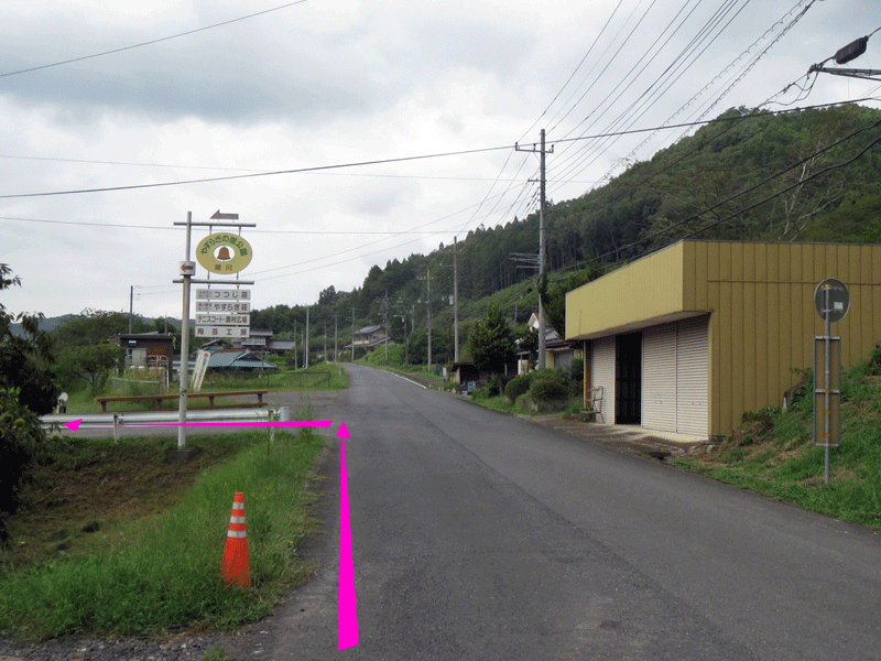 ハーフセンチュリー