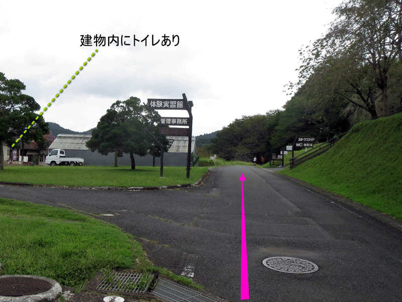 ハーフセンチュリー