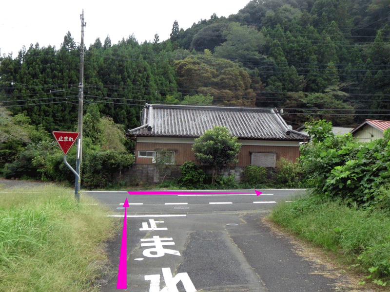 ハーフセンチュリー