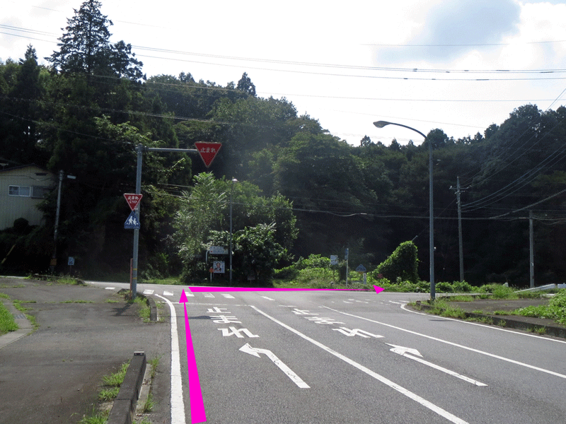 ハーフセンチュリー