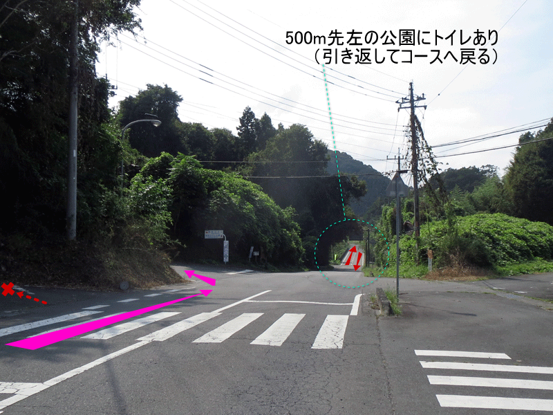 ハーフセンチュリー