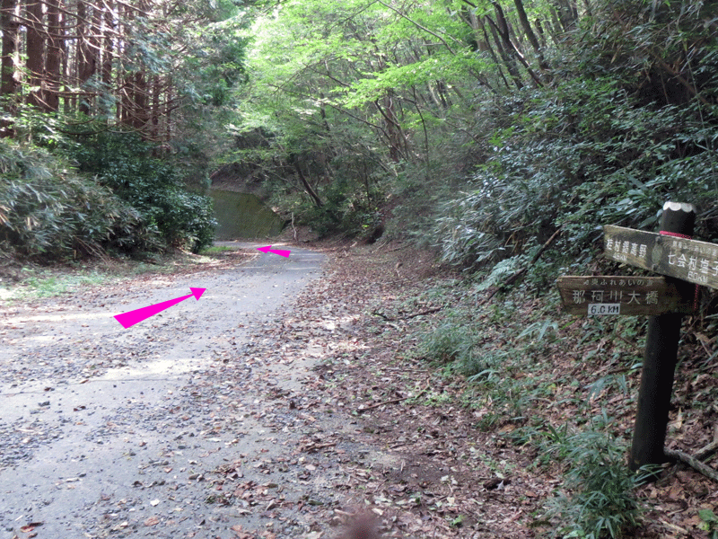 ハーフセンチュリー