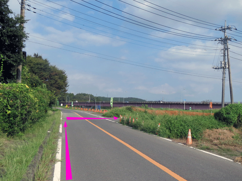 ハーフセンチュリー