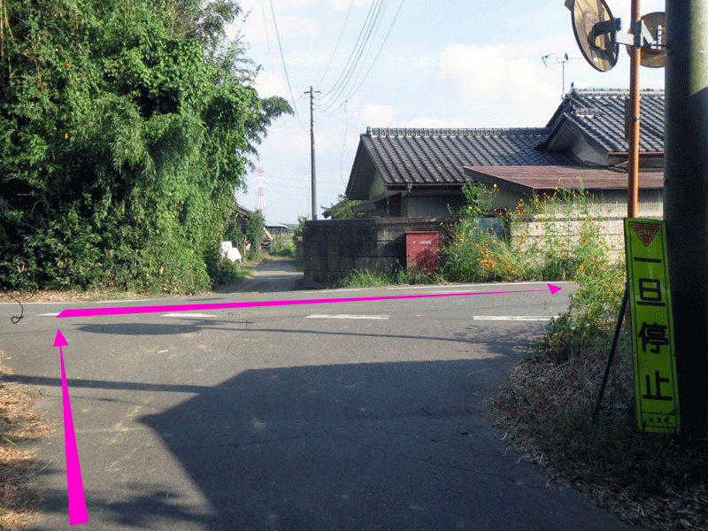 ハーフセンチュリー