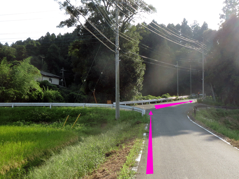 ハーフセンチュリー