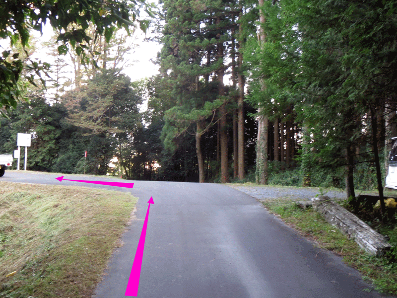 ハーフセンチュリー