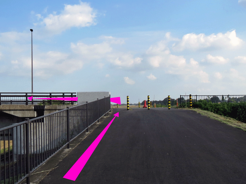 ハーフセンチュリー