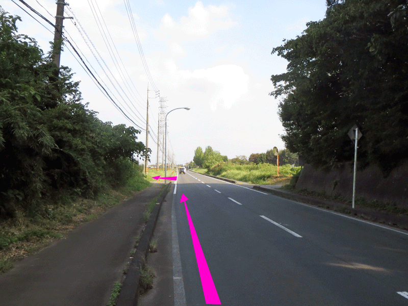 ハーフセンチュリー