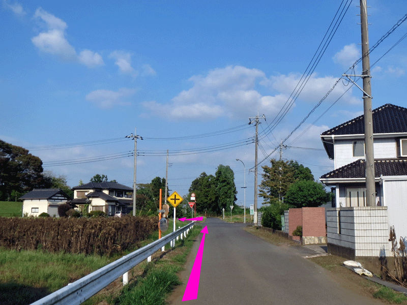 ハーフセンチュリー