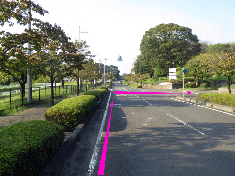 ハーフセンチュリー